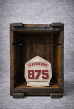 Load image into Gallery viewer, SHIELD