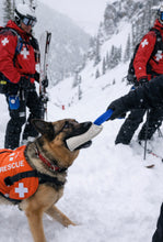 Load image into Gallery viewer, MAGIC-TUG DOG TRAINER