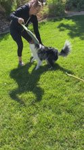 Load and play video in Gallery viewer, MAGIC-TUG DOG TRAINER