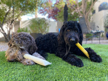 Load image into Gallery viewer, MAGIC-TUG DOG TRAINER