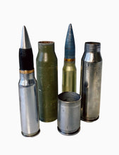Load image into Gallery viewer, SHELL CASINGS
