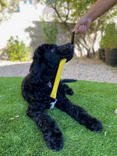 Load image into Gallery viewer, MAGIC-TUG DOG TRAINER