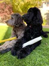 Load image into Gallery viewer, MAGIC-TUG DOG TRAINER