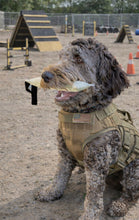 Load image into Gallery viewer, MAGIC-TUG DOG TRAINER

